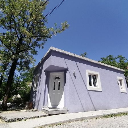 Purple Peace Cetinje Luaran gambar